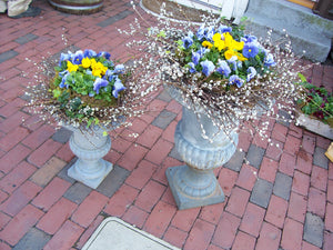 Garden Urns with Pansies for Spring
