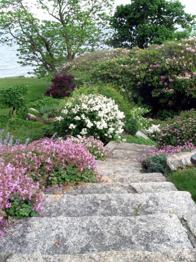 Landscaped Outdoor Staircase in Swampscott MA